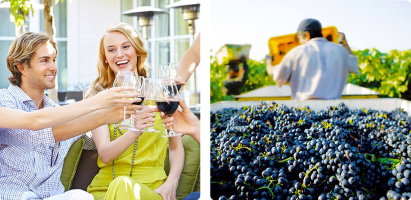 「カリフォルニアワインマンス2020 全国小売プロモーション」のご案内