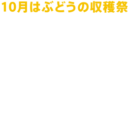 10月はぶどうの収穫祭
